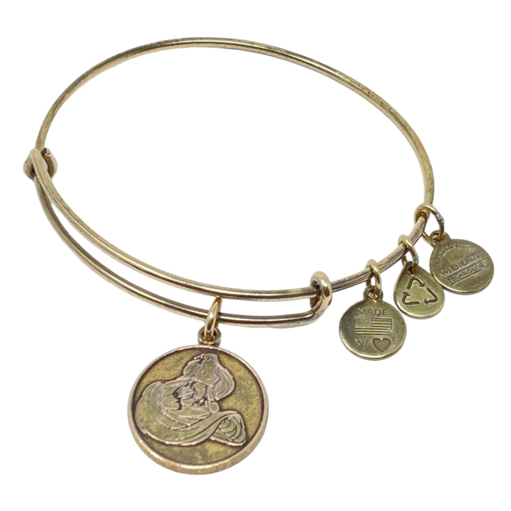 ALEX & Ani Disney Parks Rapunzel Tangled Charm Bangle Tangled